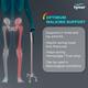 Tynor Walking Stick Quadripod - Silver 1's - Walker & Walking Stick