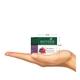 Biotique Bio Berry Plumping Lip Balm 12 gm - Lip Balms