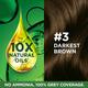 Garnier Color Naturals Creme Riche - 3 Darkest Brown (70 ml + 60 gm) - Crème