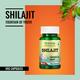 Morpheme Remedies Shilajit 500mg Extract 60's - Herbal Dietary Supplement