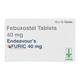 ENDEAVOUR'S FURIC 40 Tablet 15's - Gout