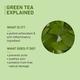 Plum Green Tea Oil Free Moisturizer Fragrance free 50ml - Face Moisturizers