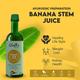 Globus Naturals Banana Stem Juice 500 ml - Ayurvedic Juices