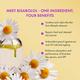 Sixam Glow Daily Call Sun Serum SPF 50 PA++++ with Niacinamide & Bisabolol, Weightless Sunscreen 50 ml - Body Sunscreen