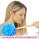 Vega Bath Brush (BA - 1/6) 1's - Loofahs & Sponges