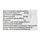 ERIRAB DSR Capsule 10's - Ulcer/Reflux/Flatulence-Aaa
