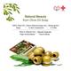 Kesh Nikhar Soap - Olive Oil (Pack of 4 x 125 gm) - Soaps