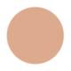 PAC Take Cover Concealer 11 Birthday Suit 6.8 gm - Concealer