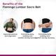 Flamingo Lumbar Sacro Belt - Black (OC - 2001) (L) - Abdomen/Neck/Arm/Elbow Supports