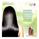 Kesh Nikhar Shikakai Herbal Shampoo 500ml + Kesh Nikhar Soap 100 gm - Hair Oils
