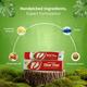 Pankajakasthuri Clear Foot Ointment 25 gm - Speciality Medicines