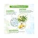 Mamaearth Tea Tree Hair Oil Booster with Tea Tree & Salicylic Acid for Dandrufffree Hair 30 ml - Hair Oils