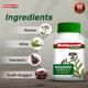 Baidyanath Rasnadi Guggulu Tablet 80's - Speciality Medicines