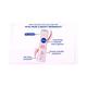 Nivea Pearl & Beauty Deo with Avocado Smooth & Beautiful Underarms 150ml - Women Deodorants/Roll-Ons