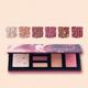 Colorbar Make Up Kit-The Morning Muse-001 21.9 gm - Face Palettes
