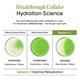 Wellbeing Nutrition HydraSalt Electrolyte Sachet - Cucumber LemonadE 15's - Oral Rehydration (Ors)