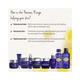 L'Occitane Immortelle Precious Eye Cream 15 ml - Dark Circle & Wrinkle Busters