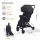 R for Rabbit Pocket Air Stroller - Black 1's - Baby Safety