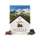 Wellbeing Nutrition Organic Vegan Plant Protein Isolate - Belgian Dark Chocolate 907 gm - Protein Drink