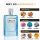 RiiFFS Blue O2 Eau De Parfume for men 100 ml - Men Perfumes (Edt/Edp)