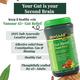 Vansaar 45+ Gut Relief (Sugar Free) Powder 200 g - Digestive Care