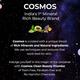 Cosmos by Bewakoof Exfoliating Magic Mineral Lip Mask Powered By Silver & Shea Oil (Pack of 5) 15 gm - Masks & Peels