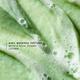 Farmacy Green Clean Whipped Foaming Cleanser 150 ml - Face Wash & Cleansers