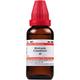 Dr.Willmar Schwabe Hydrastis Canadensis Ø Drops 30 ml - Mother Tincture