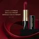 FACESCANADA Matte Addiction Lipstick Fierce Brown 10 3.7gm - Lipsticks