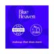 Blue Heaven Prep & Fix Primer & Setting Mist with Vitamin B & E Aloe Vera and Paraben Free 60ml - Setting Spray