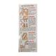 MOXCLAV DS CP Oral Suspension 30ml - Bacterial Infections-Pen