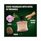 Brut Musk Eau De Toilette (EDT) Perfume for Men Long-Lasting Musky Fragrance 100 ml - Men Perfumes (Edt/Edp)