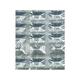 OXYDEX Tablet 15's - Asthma/COPD-Ast