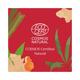 Juicy Chemistry BHA Serum, , for Face Acne Control & Pitted Scars, Clarifying Face Serum 10.0 ml - Face Oils