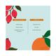 Juicy Chemistry Blood Orange & Rosehip Organic Lip Balm for Pigmented Lips 5 gm - Lip Balms