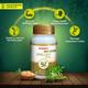 Lama Shallaki Capsules 60's - Speciality Medicines