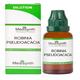Medisynth Robinia Pseudoacacia 200 Dilution 30 ml - Dilutions