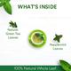 The Tea Ark Green Tea Powder - Organic Mint 50 gm (Pouch) - Green/Herbal Teas