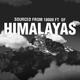 Bargad Himalayan Shilajit Honey Sticks - Cinnamon Flavour 30's - Speciality Medicines