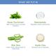 The Moms Co. Green Tea Face Wash 100 ml - Scrubs & Exfoliants