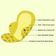 Pee Safe Reusable Sanitary Pads (6 Regular Pads + 2 Overnight Pad + 2 Leak Proof Pouch) (pack of 10) 1's - Sanitary Napkins