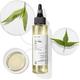 Brillare Tea Tree Oil For Itchy, Flaky, Dandruff Prone Scalp 100 ml - Hair Oils