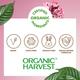 Organic Harvest Moisture Matte Lipstick - Rosewood Brown 4 gm - Lipsticks