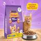 Nestle Purina Friskies Surfin Favourites Cat Food 1 kg - Petfood