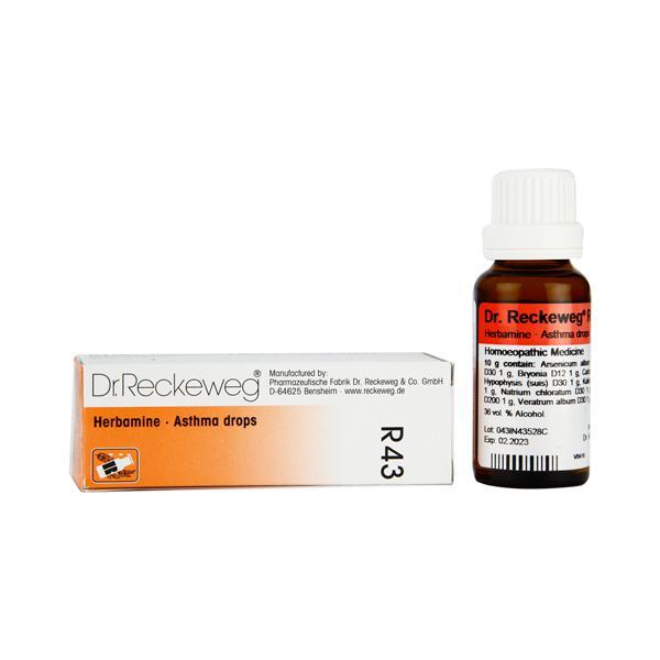 Netmeds | Dr. Reckeweg R43 Herbamine Bronchial Drops 22 ml