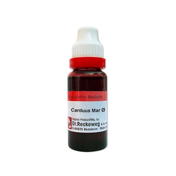 Netmeds | Dr. Reckeweg Carduus Mar. Ø Liquid 20 ml