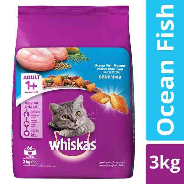 Netmeds | Whiskas Junior Ocean Fish Flavor with Milk 3000 gm