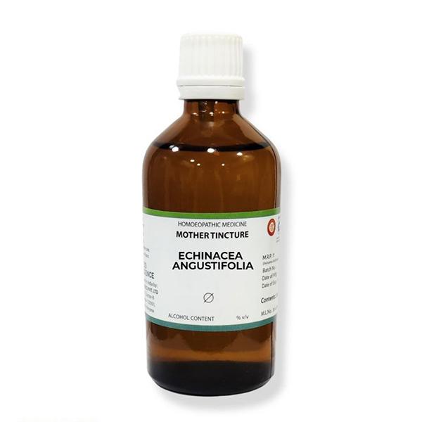 Netmeds | LDD Bioscience Mother Tincture Echinacea Angustifolia Q Liquid 100 ml