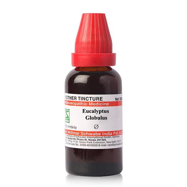 Netmeds | Dr.Willmar Schwabe Eucalyptus Globulus Ø Liquid 30 ml