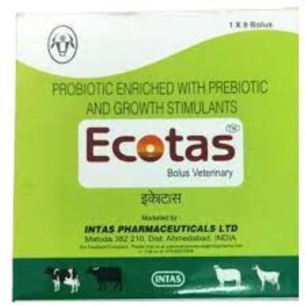 Netmeds | Ecotas Bolus (Pack of 1 x 8's) 1's